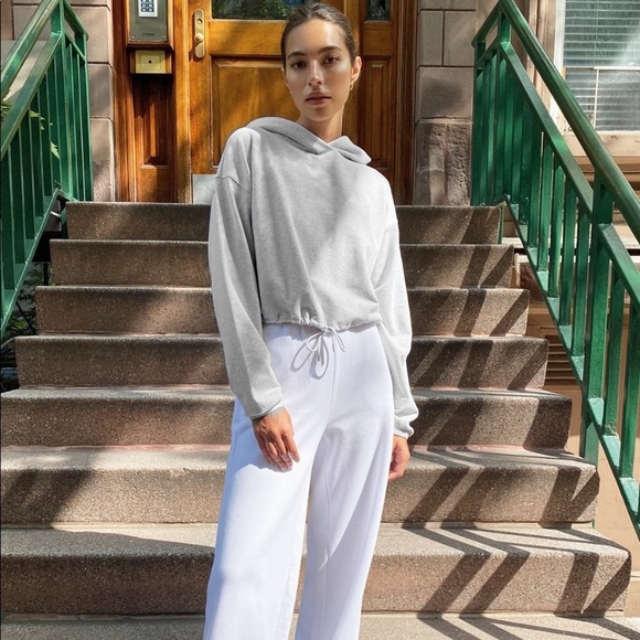 Babaton Jackets & Blazers - Aritzia Group Babaton Weekender Cropped Hoodie